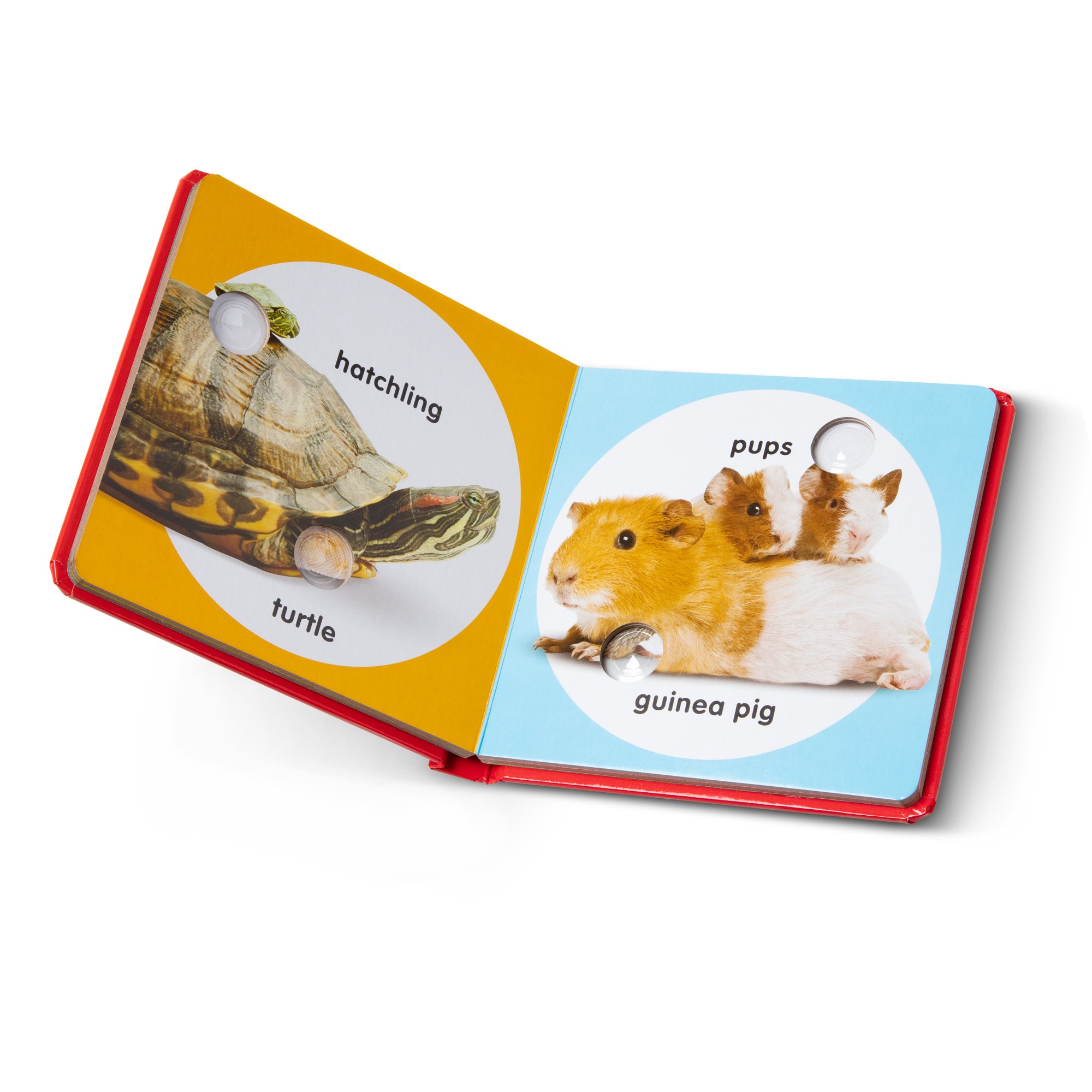 Melissa & Doug Poke-a-Dot: Pet Families Board Book - Image 4