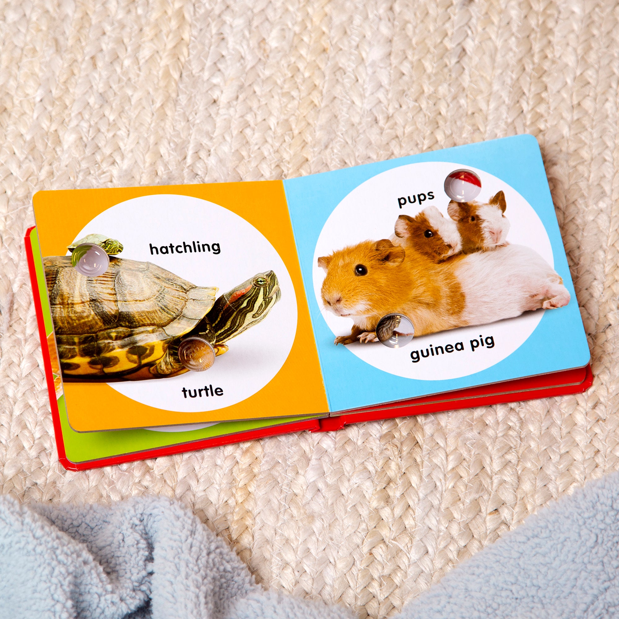 Melissa & Doug Poke-a-Dot: Pet Families Board Book - Image 10