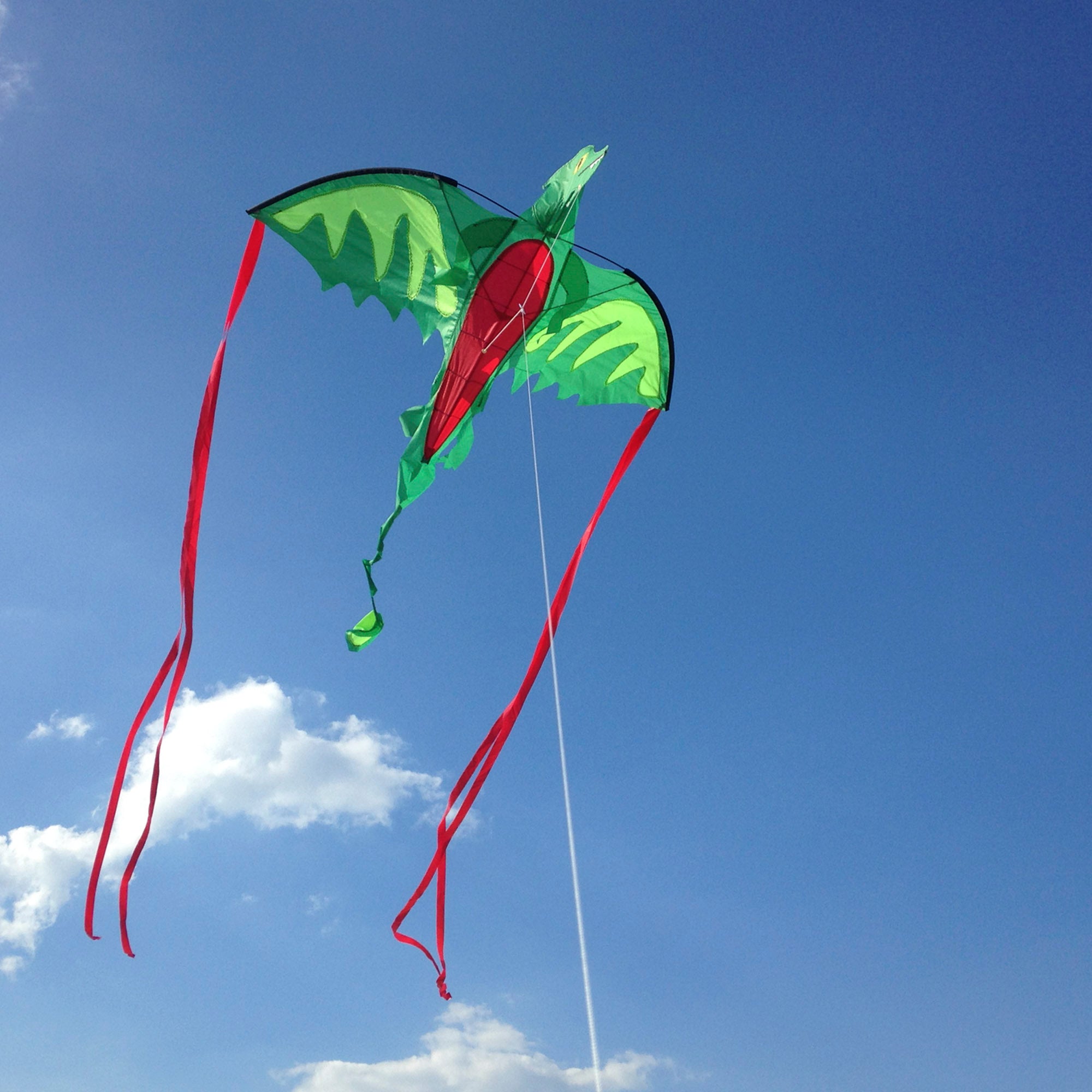 Melissa & Doug Winged Dragon Shaped Kite - Image 9