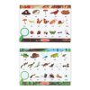 Melissa & Doug Let's Explore Double-Sided Seek & Find Puzzle