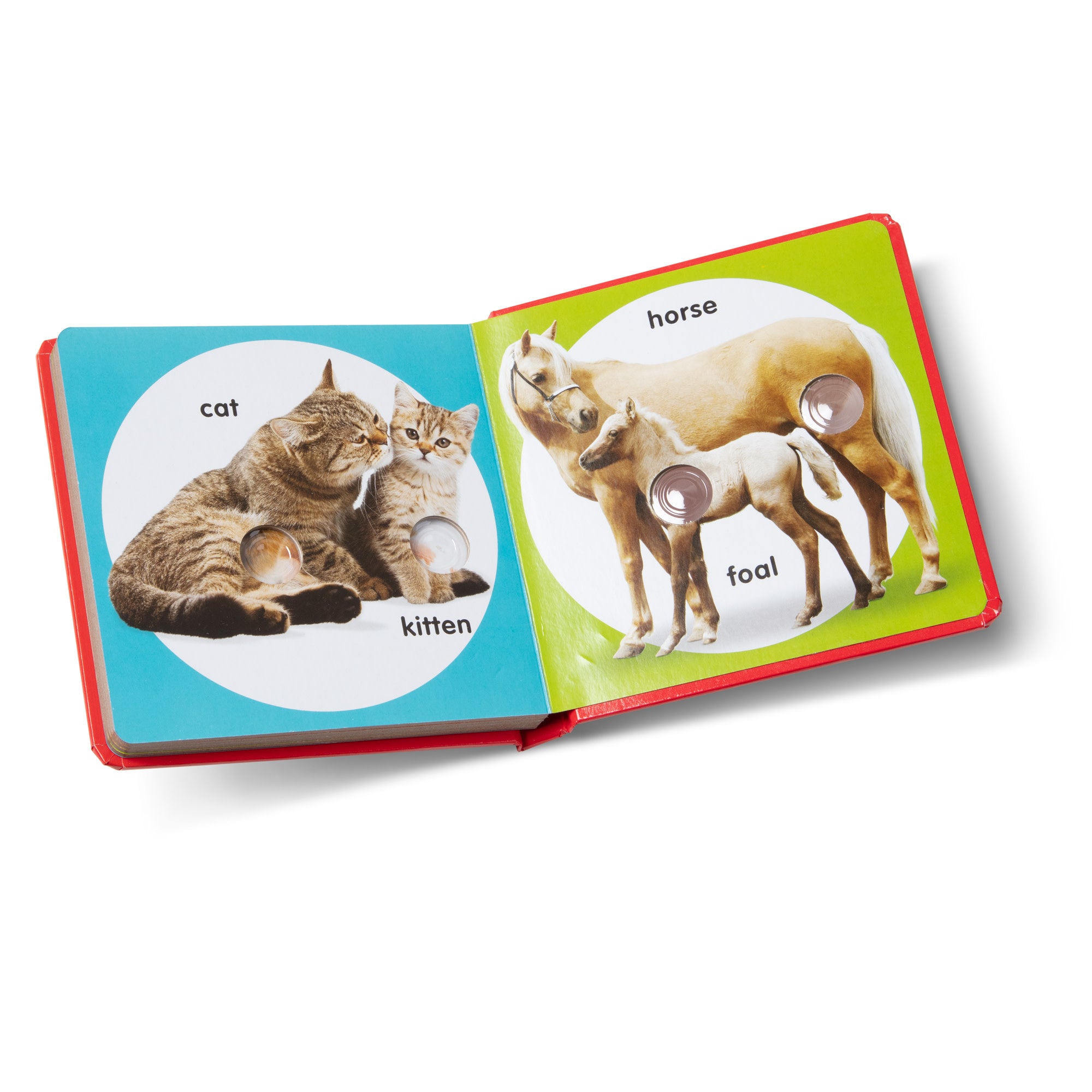 Melissa & Doug Poke-a-Dot: Pet Families Board Book - Image 3
