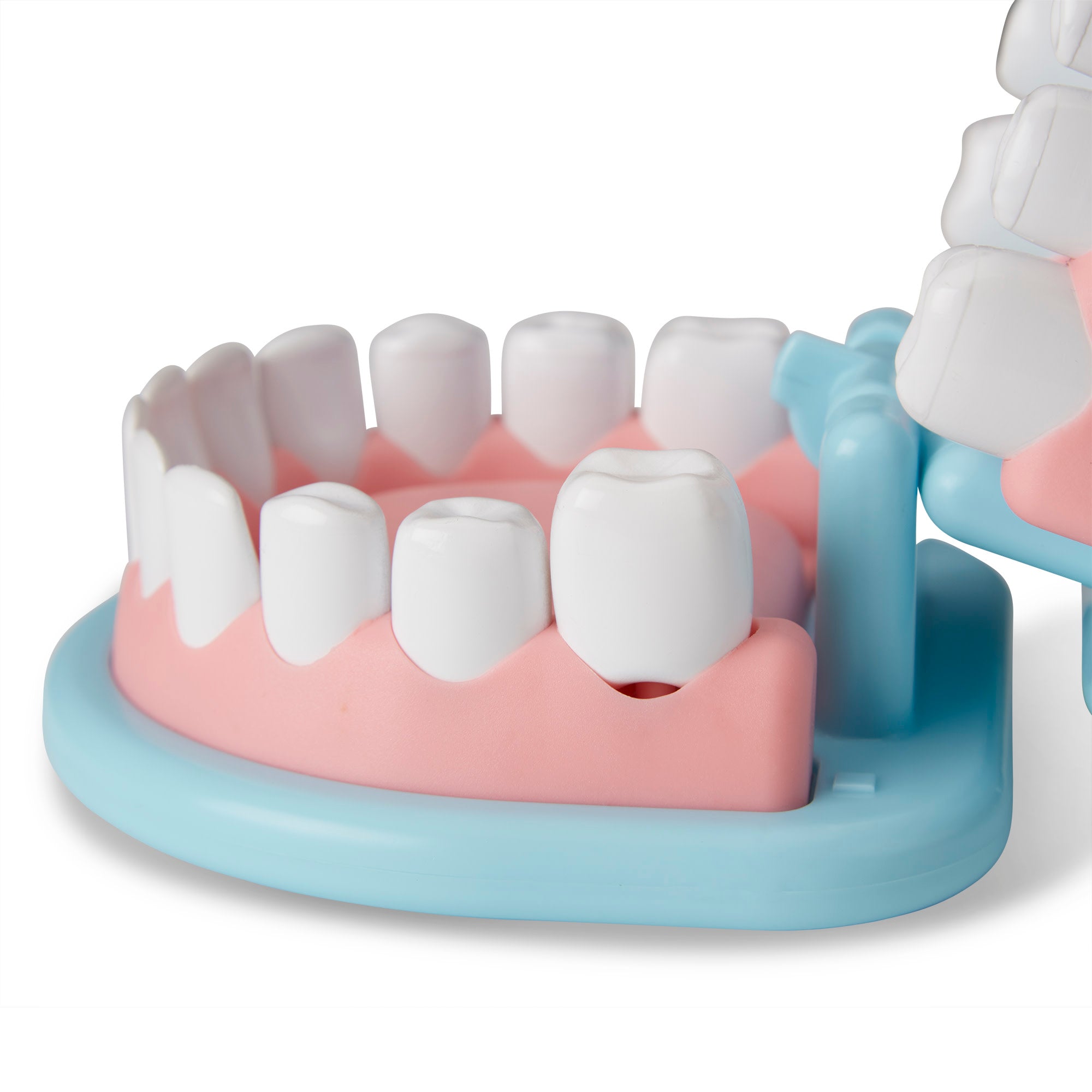 Melissa & Doug Super Smile Dentist Play Set - Image 3