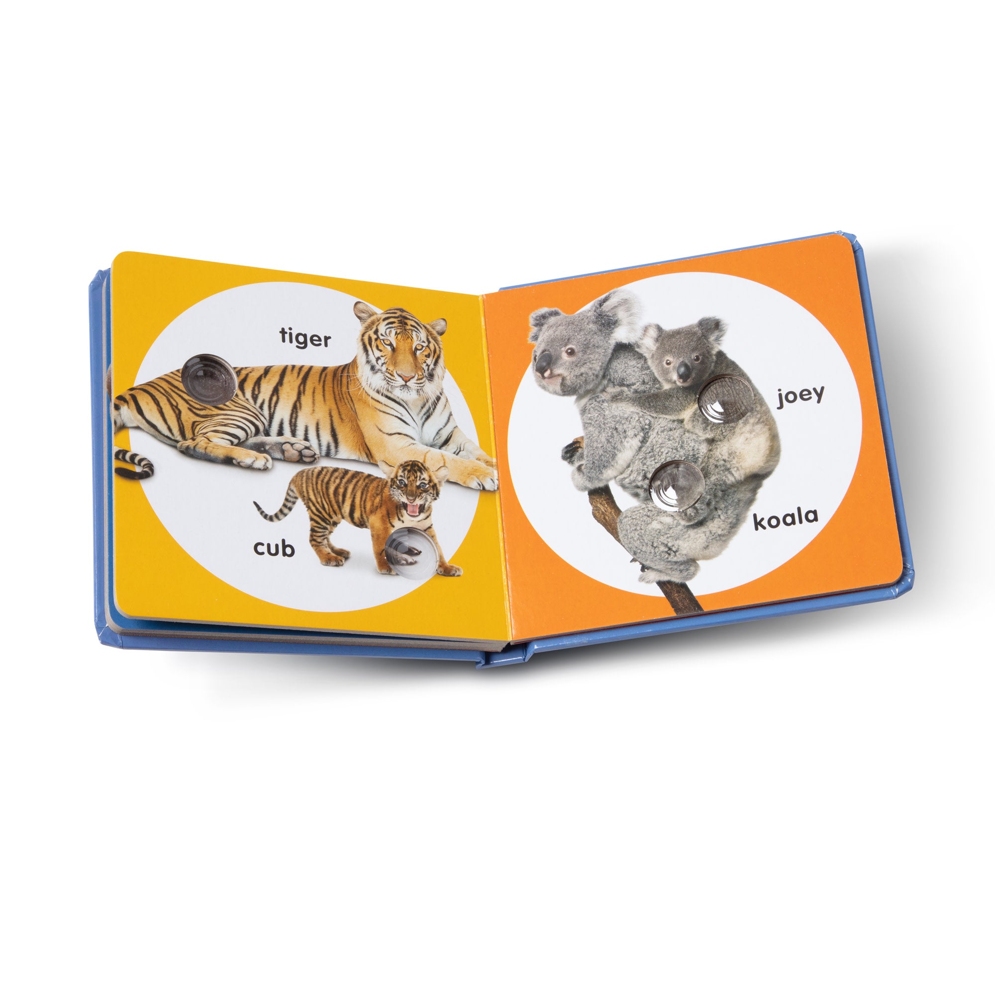 Melissa & Doug Poke-a-Dot: Wild Animal Families Board Book - Image 4