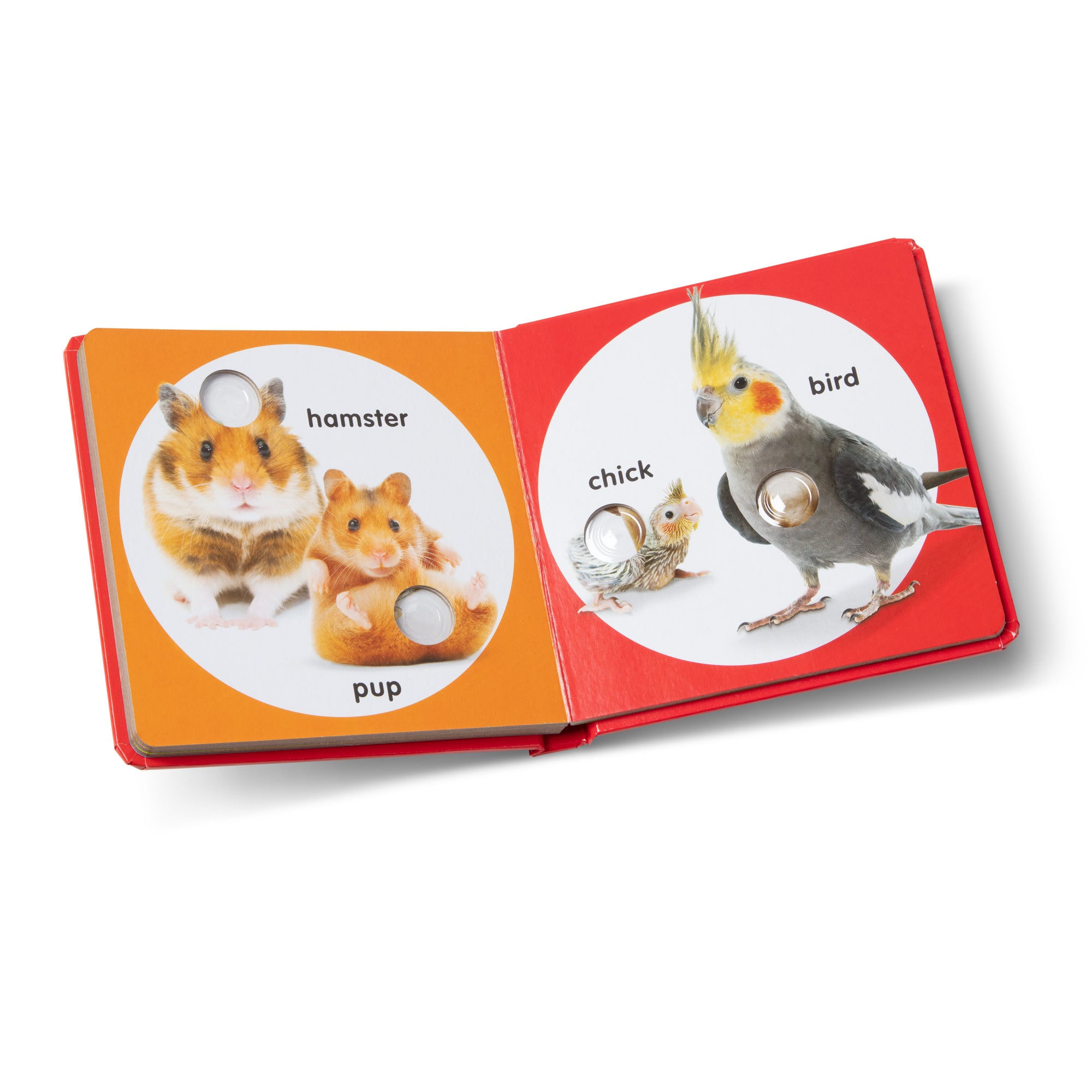 Melissa & Doug Poke-a-Dot: Pet Families Board Book - Image 9