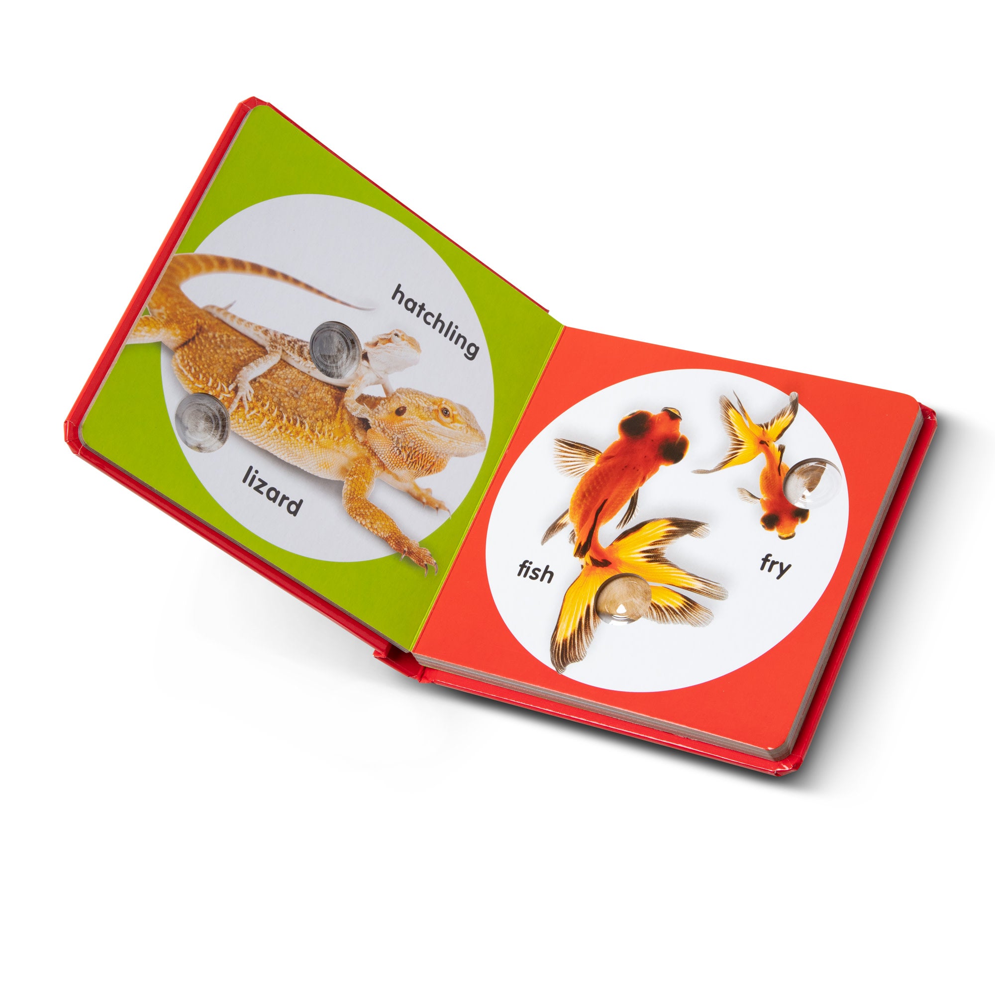 Melissa & Doug Poke-a-Dot: Pet Families Board Book - Image 6