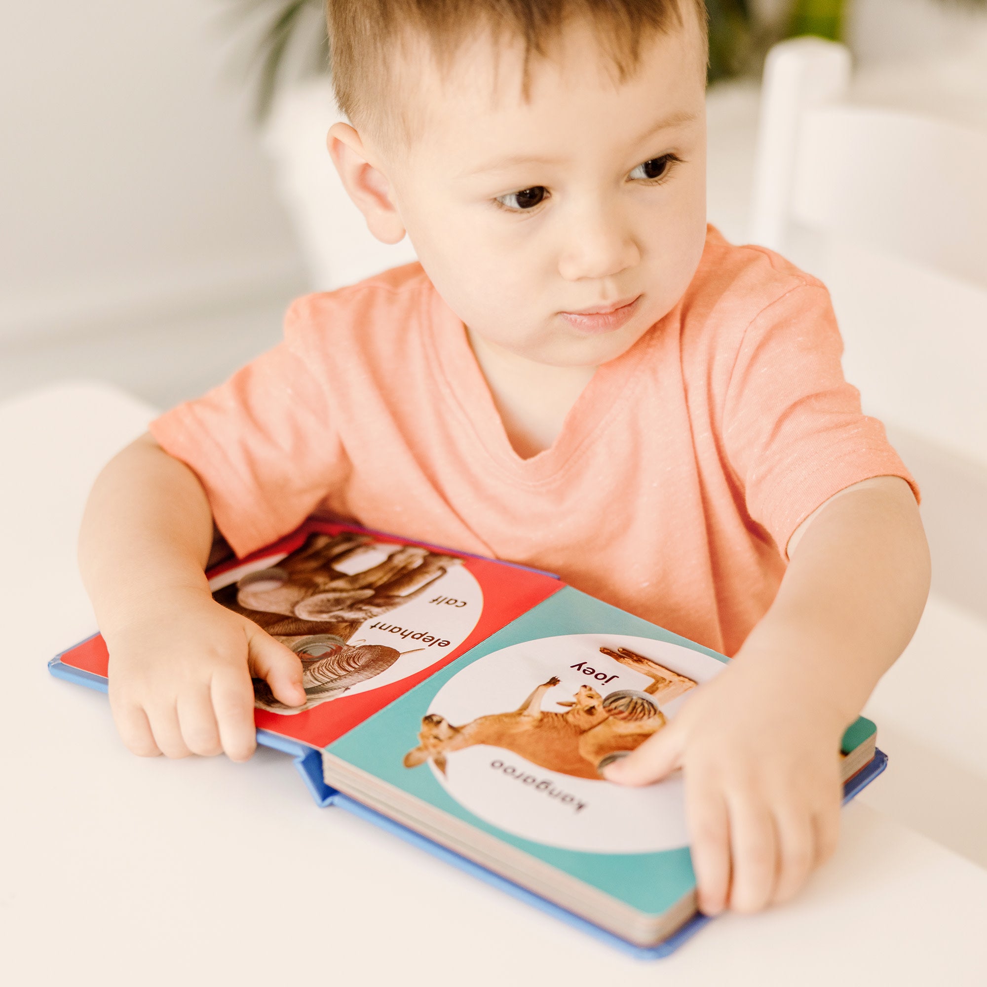 Melissa & Doug Poke-a-Dot: Wild Animal Families Board Book - Image 2