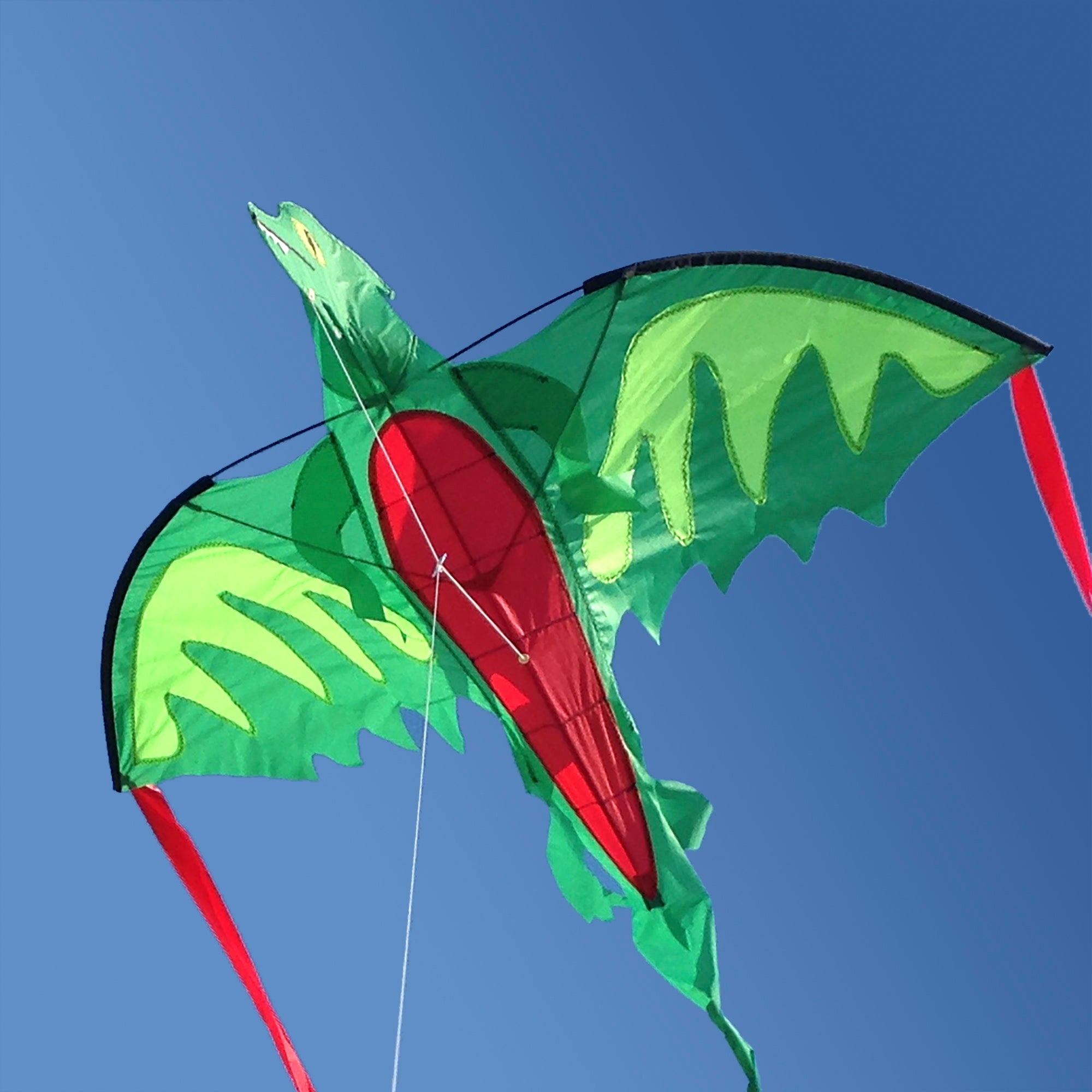 Melissa & Doug Winged Dragon Shaped Kite - Image 8
