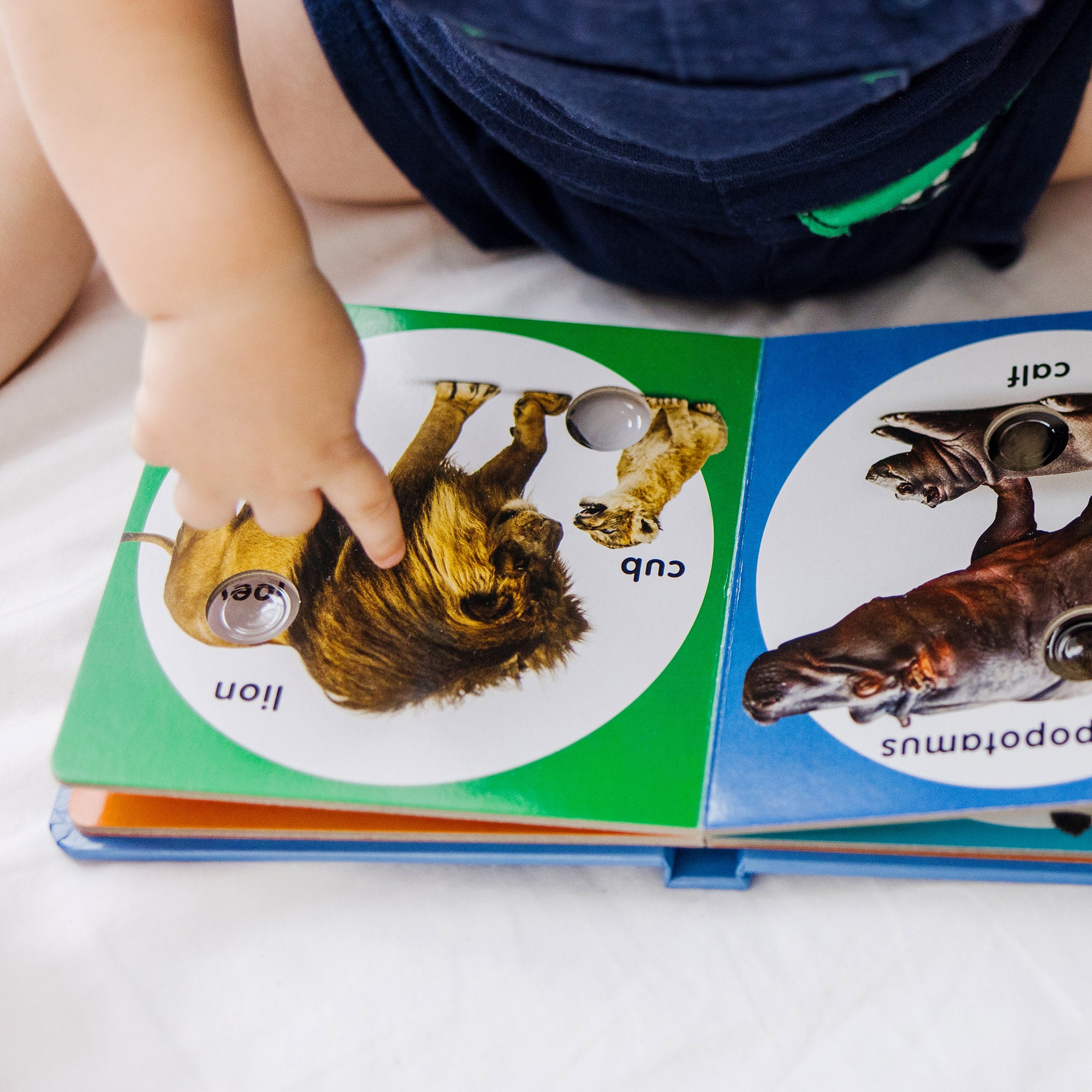 Melissa & Doug Poke-a-Dot: Wild Animal Families Board Book - Image 6
